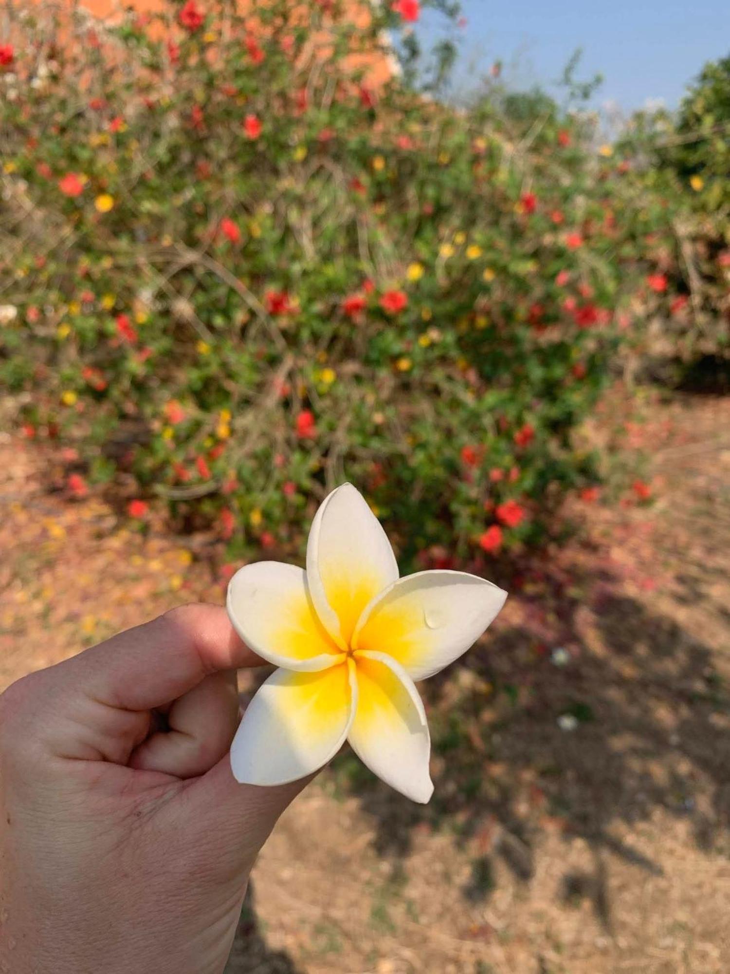 Bloom Garden Bed & Breakfast เสียมราฐ ภายนอก รูปภาพ