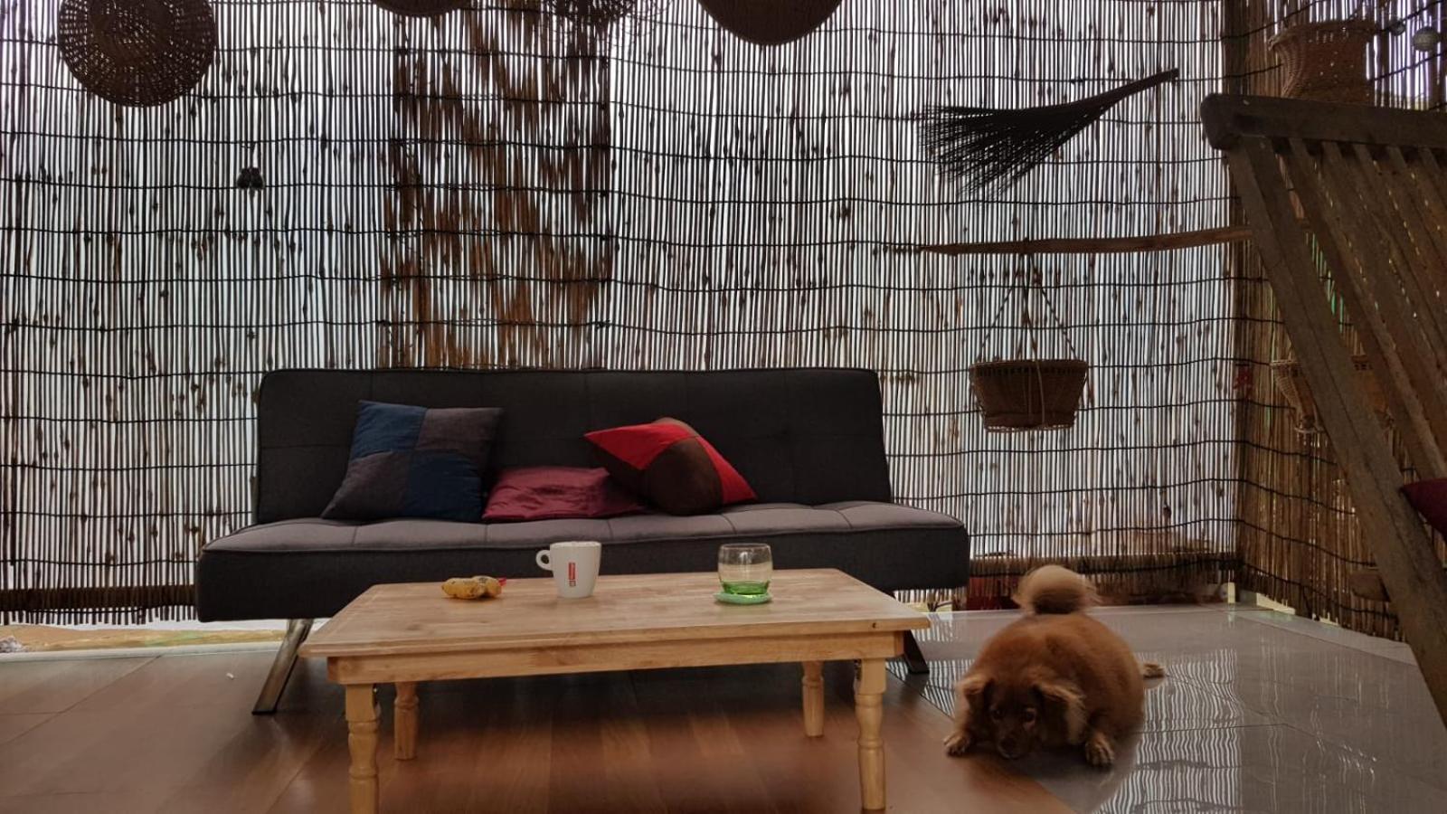 Bloom Garden Bed & Breakfast เสียมราฐ ภายนอก รูปภาพ