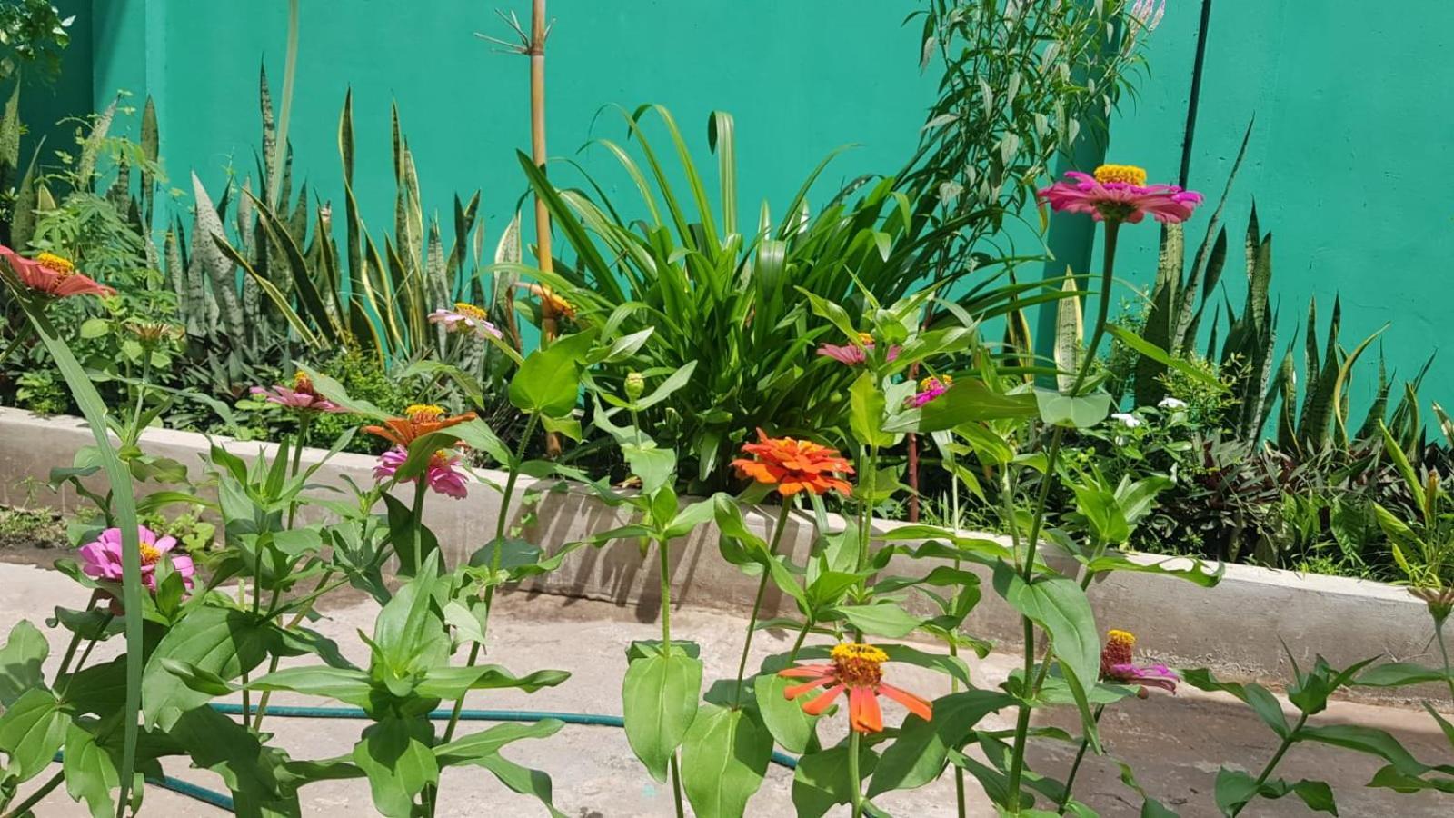 Bloom Garden Bed & Breakfast เสียมราฐ ภายนอก รูปภาพ