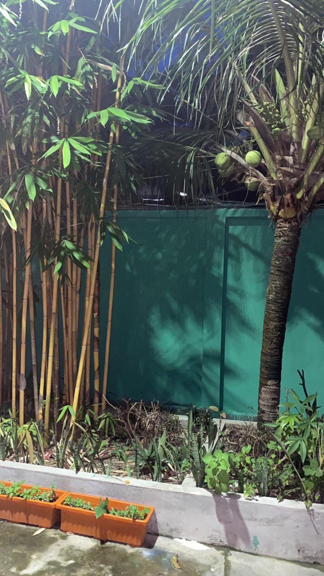 Bloom Garden Bed & Breakfast เสียมราฐ ภายนอก รูปภาพ