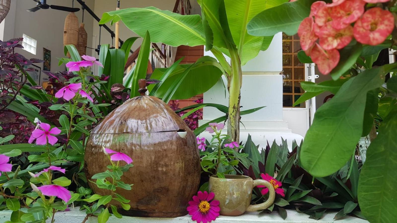 Bloom Garden Bed & Breakfast เสียมราฐ ภายนอก รูปภาพ