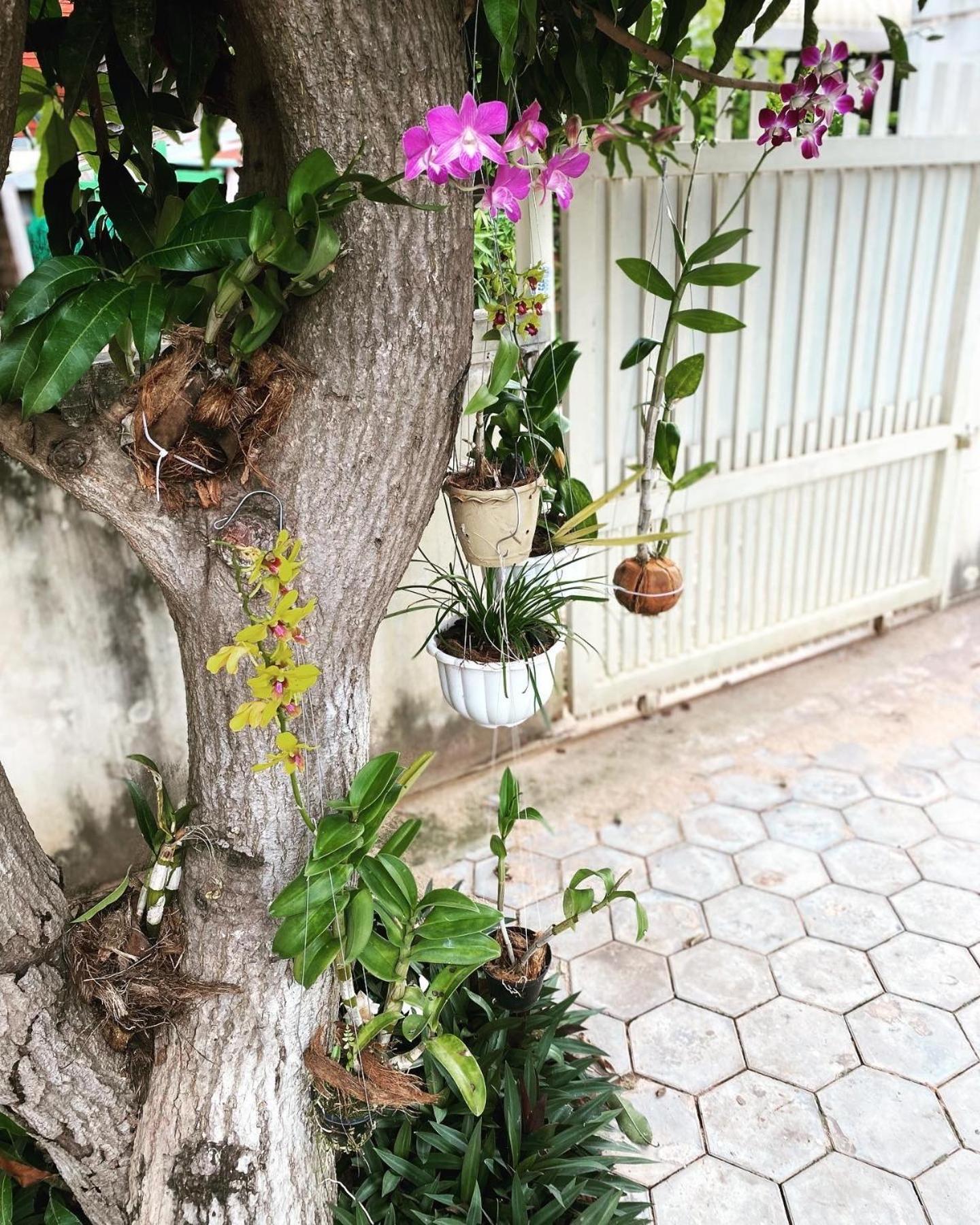 Bloom Garden Bed & Breakfast เสียมราฐ ภายนอก รูปภาพ